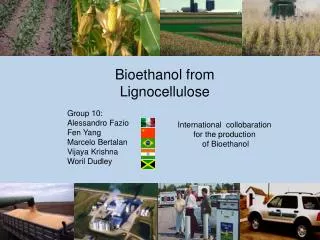 Bioethanol from Lignocellulose