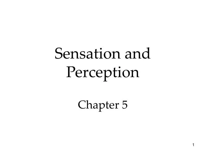 sensation and perception chapter 5