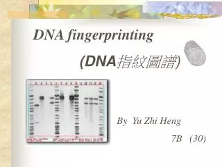 DNA fingerprinting (DNA ???? )