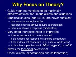 Why Focus on Theory?