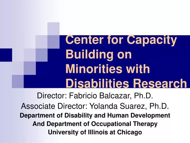 center for capacity building on minorities with disabilities research