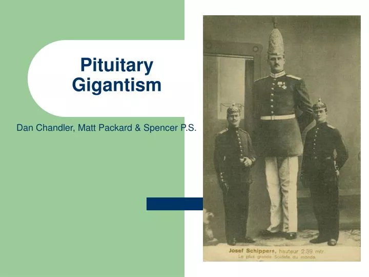 pituitary gigantism