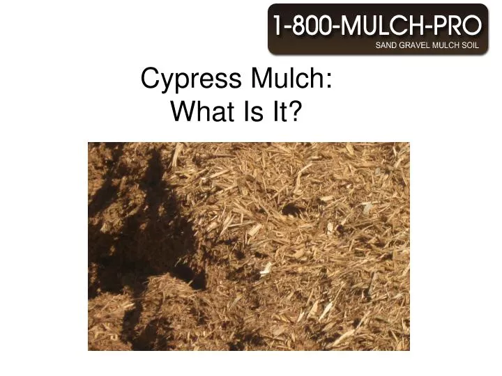 cypress mulch what is it