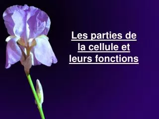 les parties de la cellule et leurs fonctions