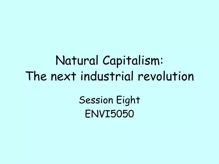 natural capitalism the next industrial revolution