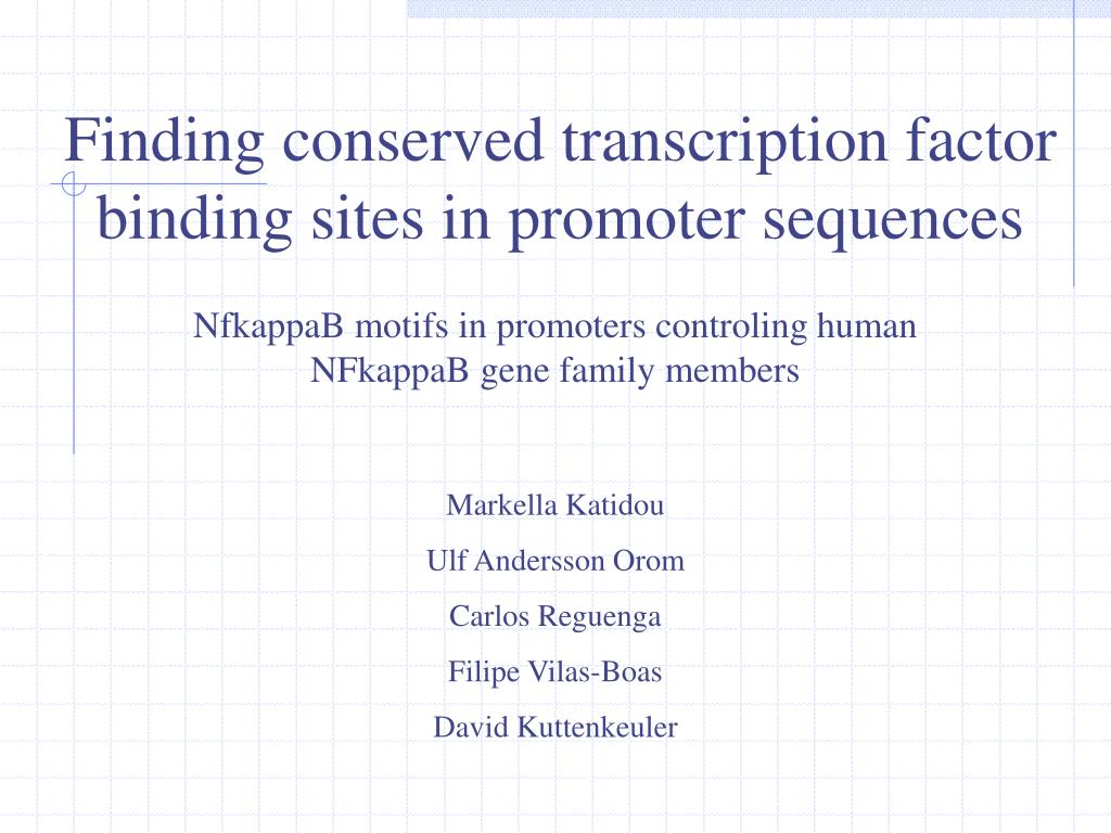 PPT - Finding conserved transcription factor binding sites in promoter ...