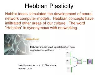 Hebbian Plasticity
