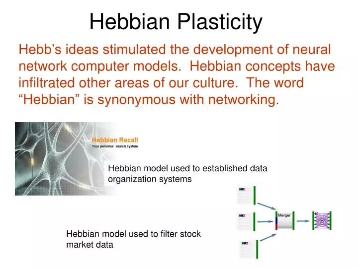 hebbian plasticity