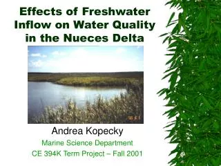 Effects of Freshwater Inflow on Water Quality in the Nueces Delta