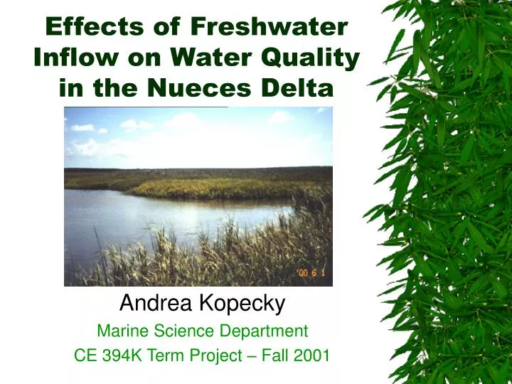 effects of freshwater inflow on water quality in the nueces delta