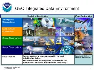 GEO Integrated Data Environment