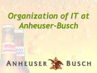 Organization of IT at Anheuser-Busch