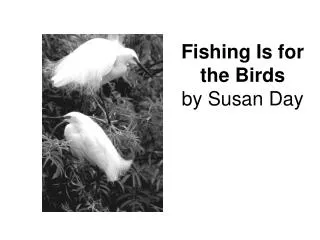 Fishing Is for the Birds by Susan Day
