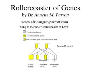 Rollercoaster of Genes by Dr. Annette M. Parrott