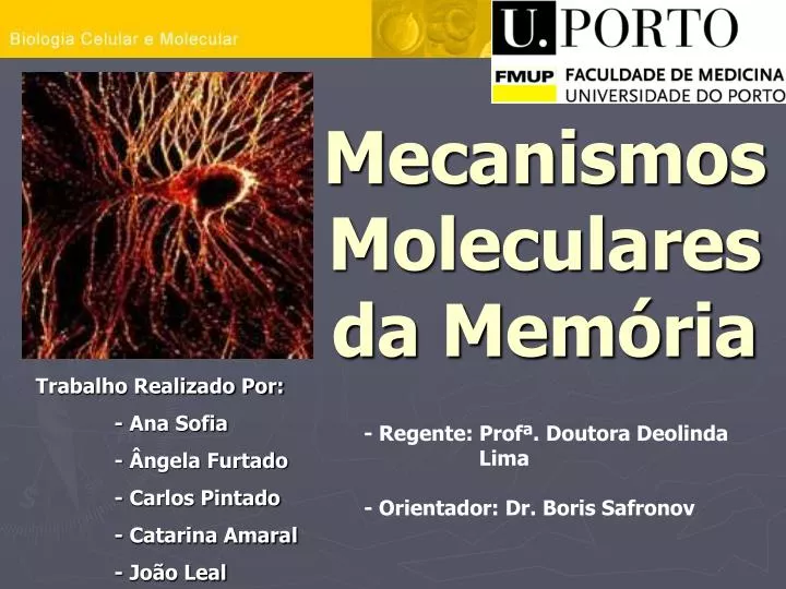 mecanismos moleculares da mem ria