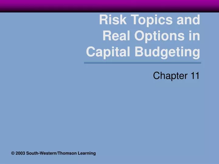 risk topics and real options in capital budgeting