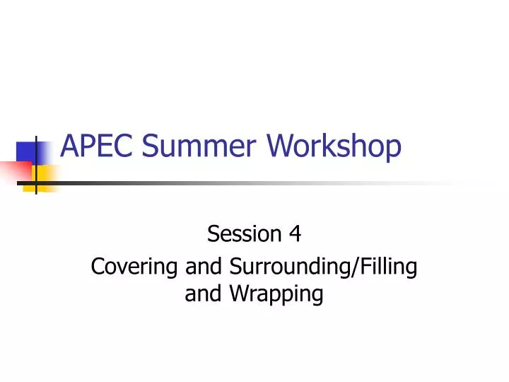apec summer workshop