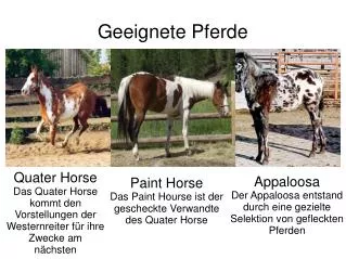 geeignete pferde
