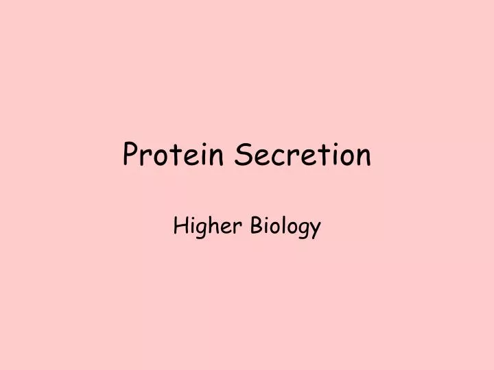 protein secretion