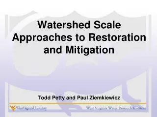 Watershed Scale Approaches to Restoration and Mitigation