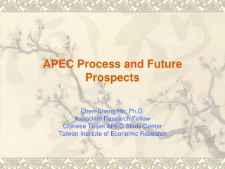 APEC Process and Future Prospects