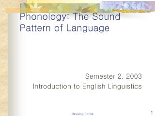 Phonology: The Sound Pattern of Language