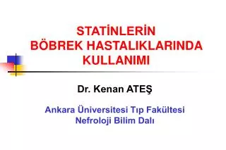 stat nler n b brek hastaliklarinda kullanimi