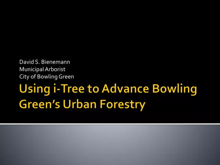david s bienemann municipal arborist city of bowling green