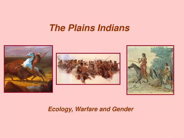 the plains indians