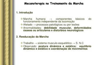 mecanoterapia no treinamento da marcha