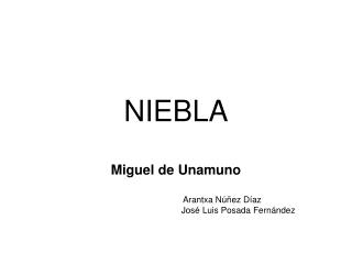 niebla