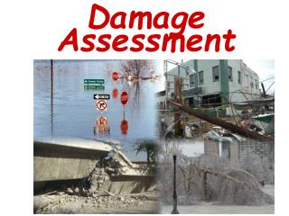 Damage Assessment