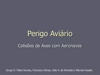 perigo avi rio