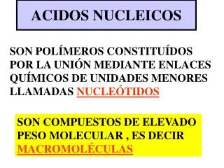 acidos nucleicos