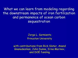 What we can learn from modeling regarding the downstream impacts of iron fertilization and permanence of ocean carbon se