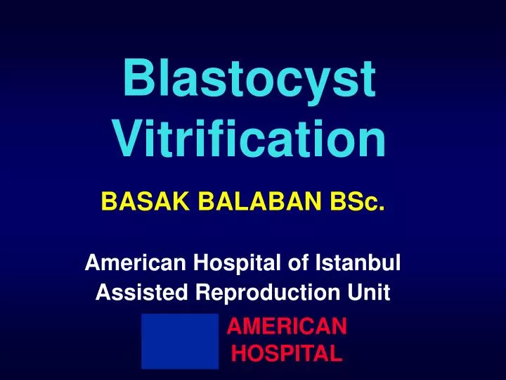 blastocyst vitrification