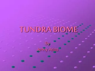 TUNDRA BIOME