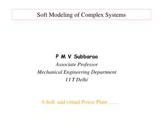 Soft Modeling of Complex Systems