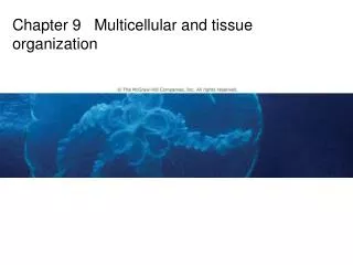 Chapter 9 Multicellular and tissue organization