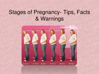 stages of pregnancy - tips, facts & warnings