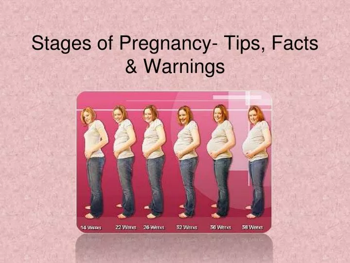 stages of pregnancy tips facts warnings
