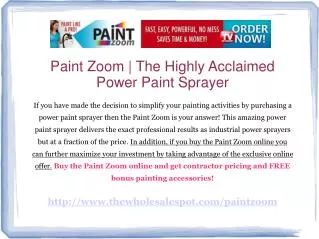 paint zoom - a fraction of the price with no sacrifice