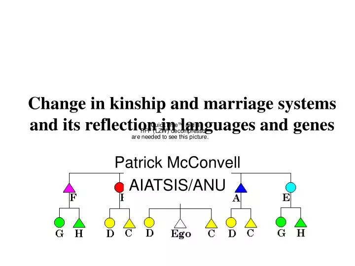 change in kinship and marriage systems and its reflection in languages and genes