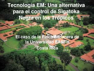 el caso de la finca bananera de la universidad earth costa rica