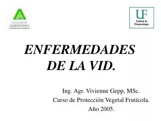 enfermedades de la vid
