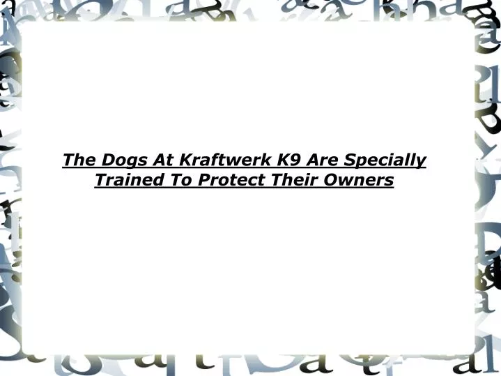 the dogs at kraftwerk k9 are specially trained to protect their owners