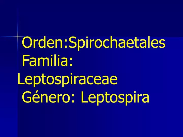 orden spirochaetales familia leptospiraceae g nero leptospira
