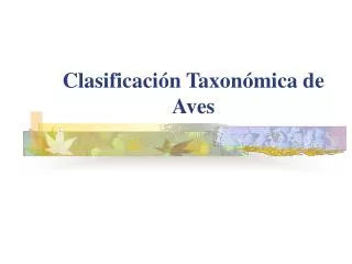 clasificaci n taxon mica de aves