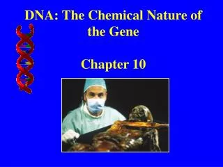 DNA: The Chemical Nature of the Gene Chapter 10