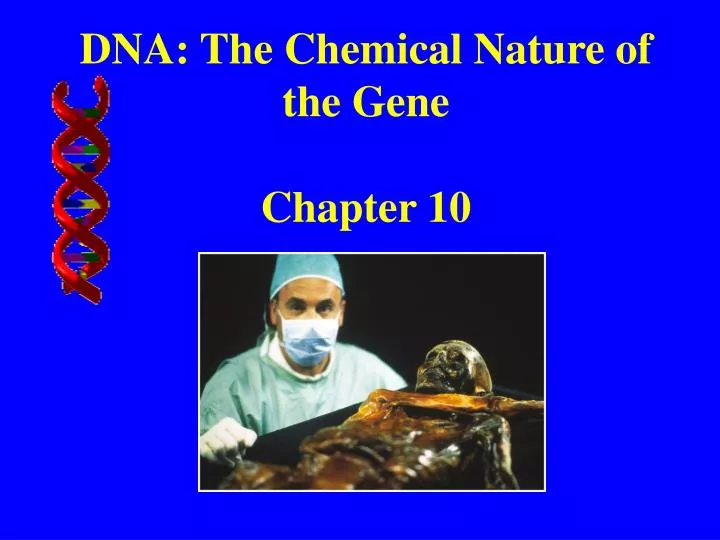 dna the chemical nature of the gene chapter 10